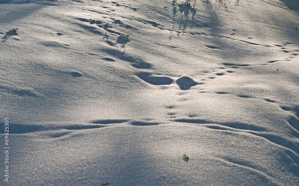 Spuren im Schnee Spuren im Schnee