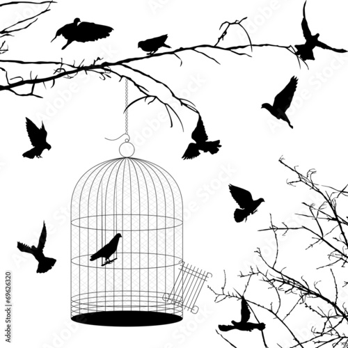 Birds and cage silhouettes