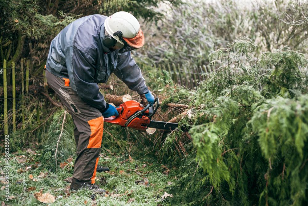 Obraz premium Professional gardener using chainsaw