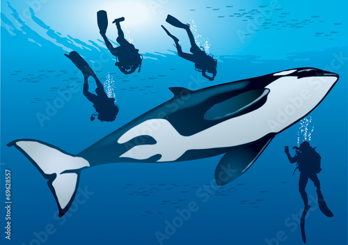 Océans - Orque et plongeurs