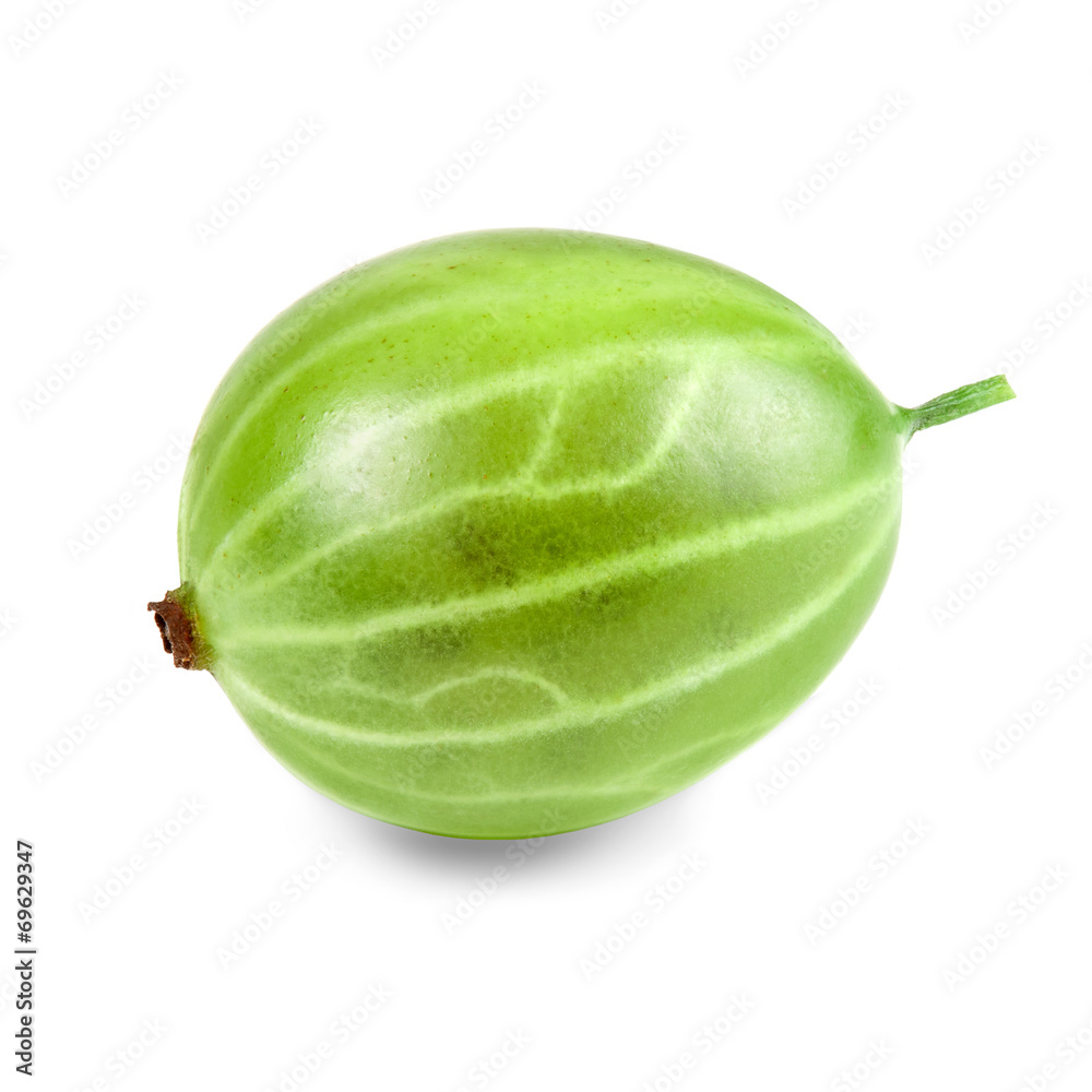 Green Ripe Gooseberries isolated on a white background Green Ripe Gooseberries isolated on a white background