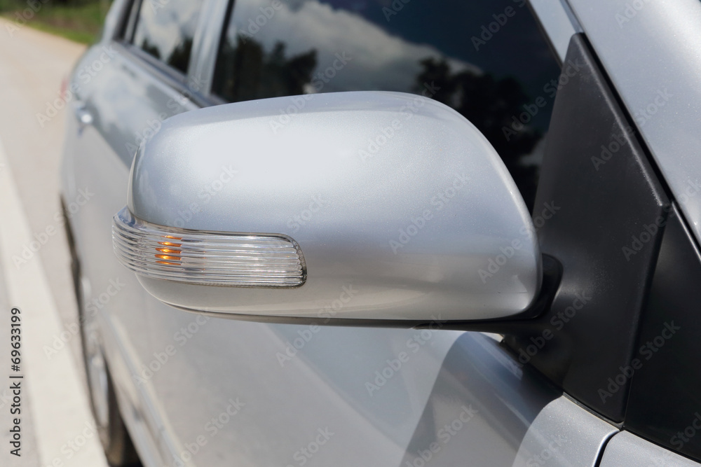 side mirror with the signal light
