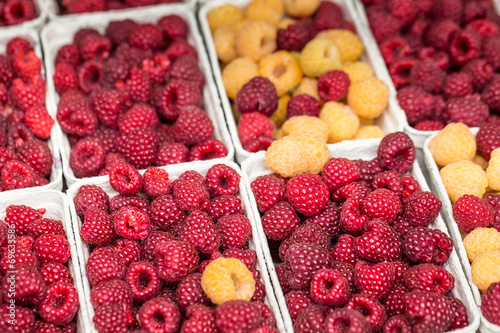 Red and yellow raspberries in boxes at local farm market