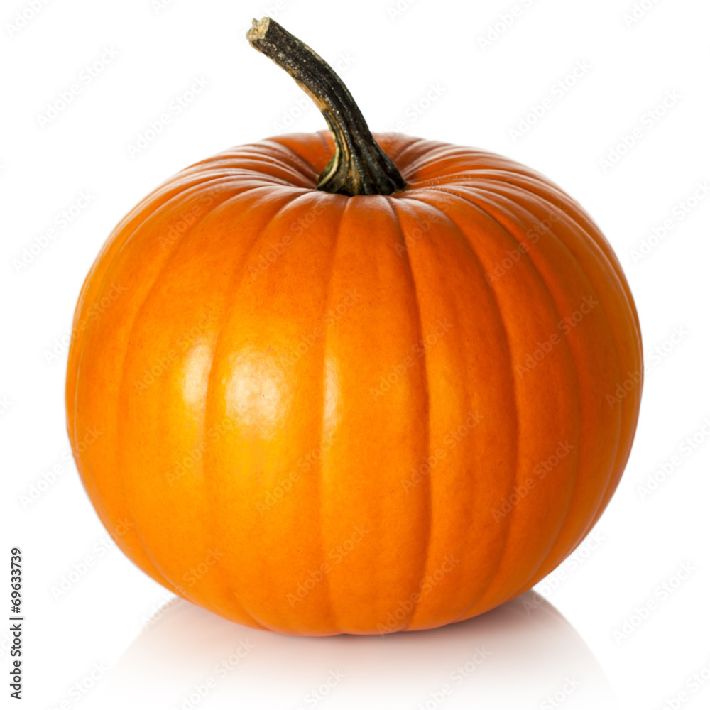 Obraz premium Pumpkin