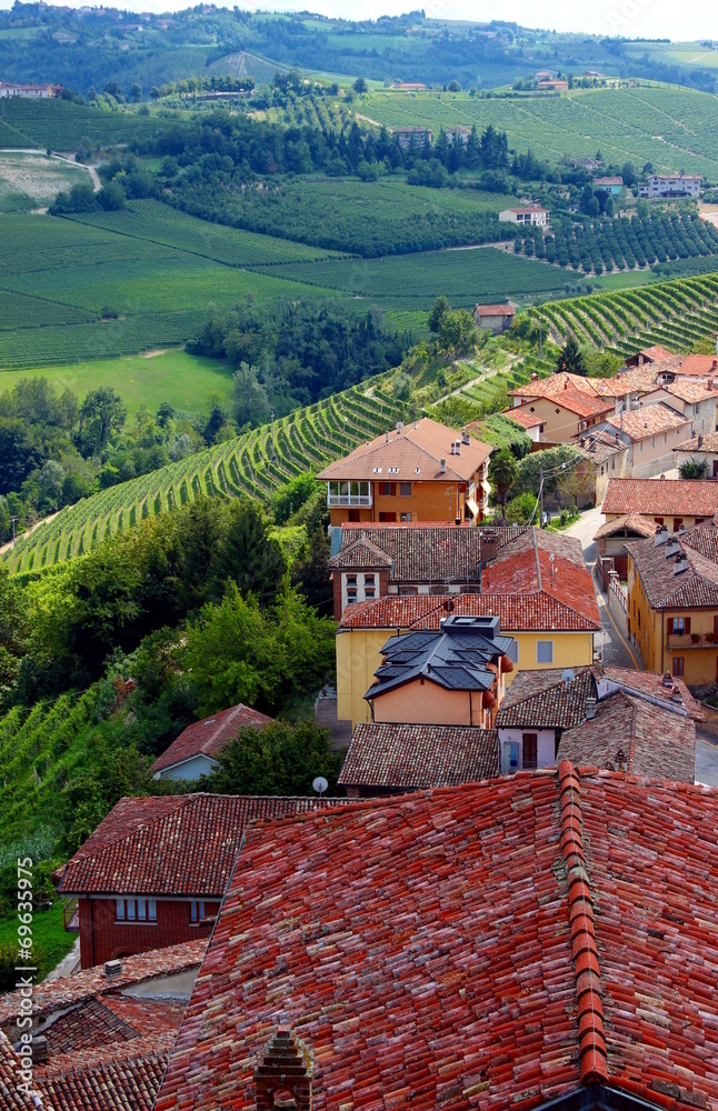 paesaggio nelle Langhe, Piemonte