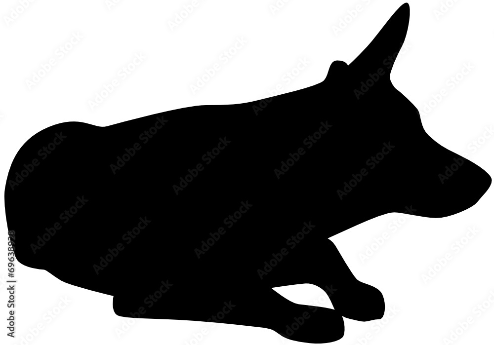 Naklejka premium Hund