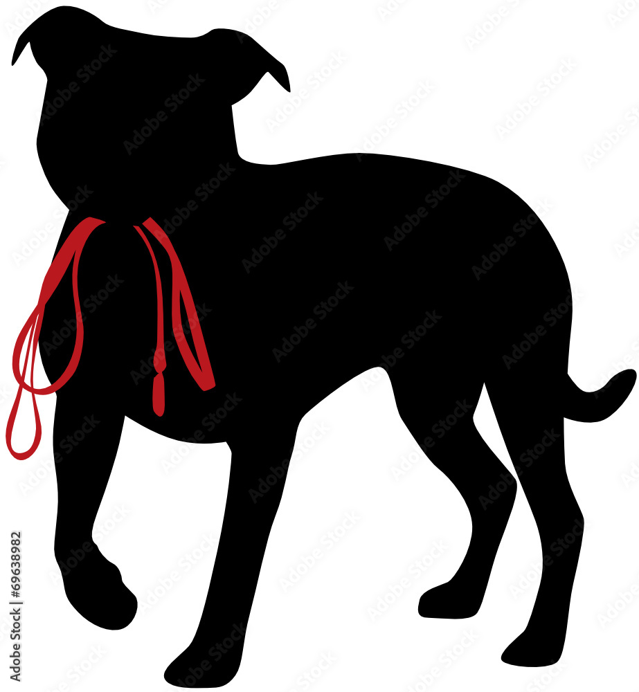 Fototapeta premium Hund