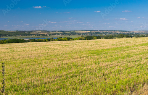Ukrainian agricultural landscape with mowed crop field