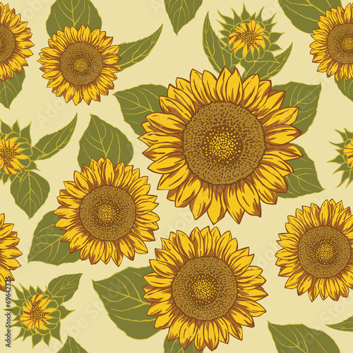 Sunflower seamless background pattern vector.