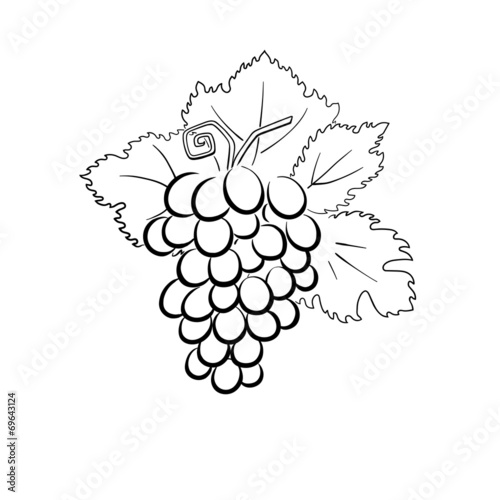 grapes