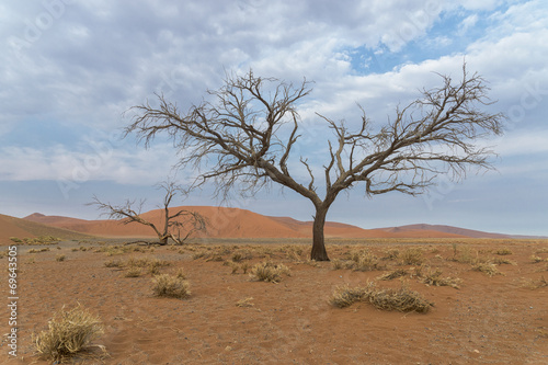 Deserto del namib