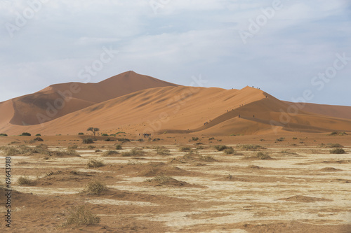 Deserto del namib