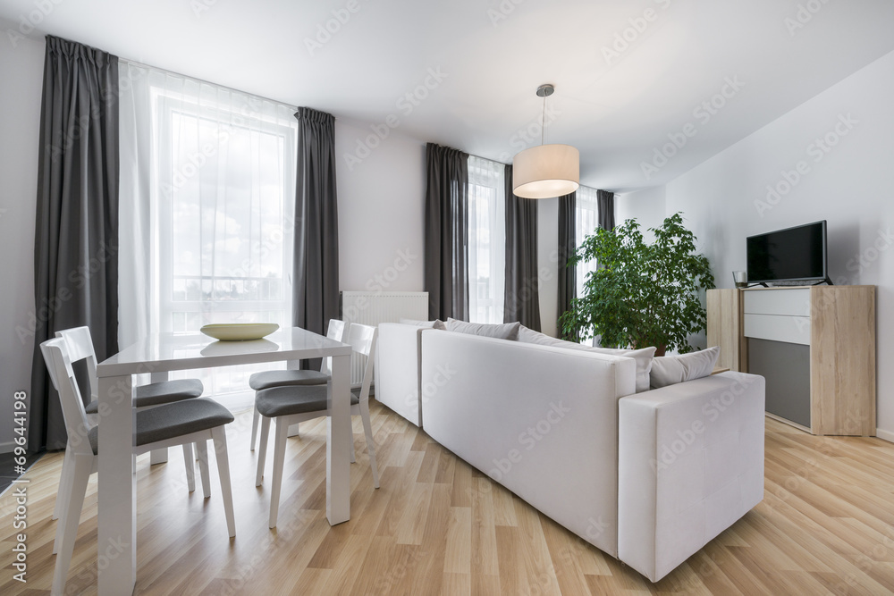 Fototapeta premium Modern interior design living room