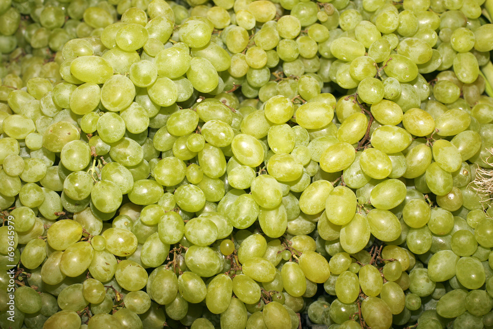 Green Grape Background. Freshly picked grapes pn farmers market Green Grape Background. Freshly picked grapes pn farmers market