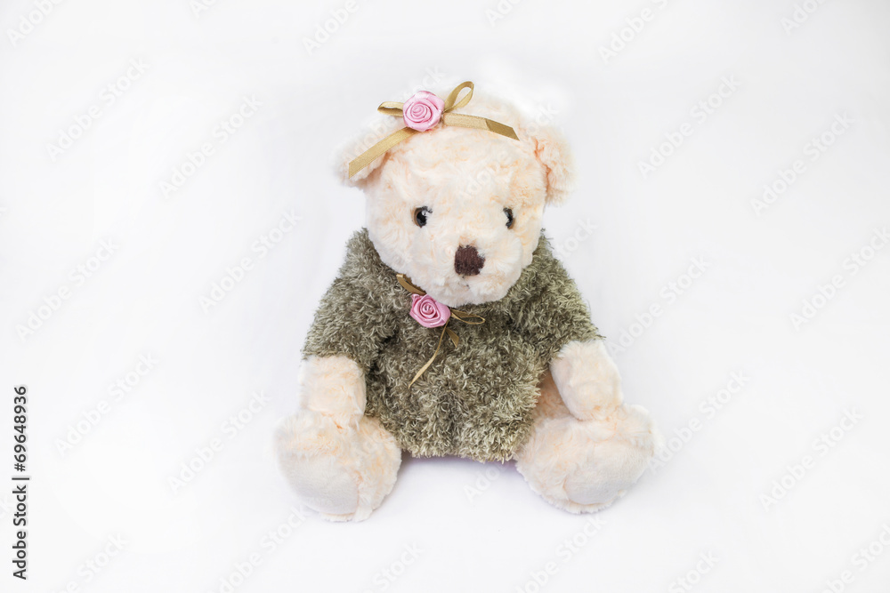 teddy bear isolated on white teddy bear isolated on white
