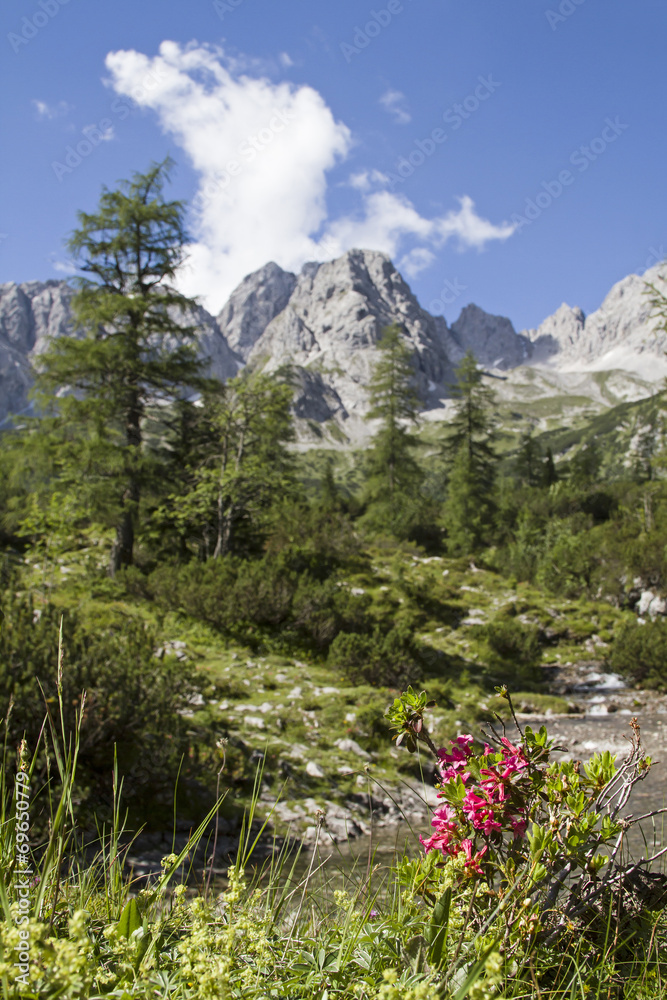 Fototapeta premium In den Mieminger Bergen