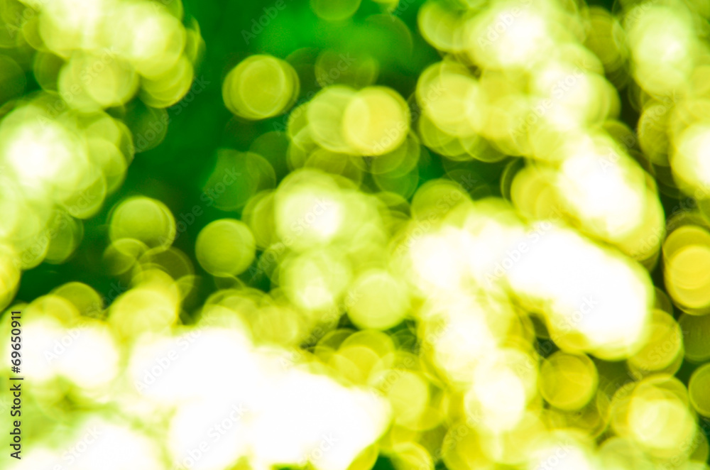 Obraz premium Green bokeh