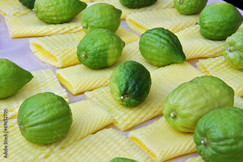 Thel fruit - citrus on traditional bazaar photo