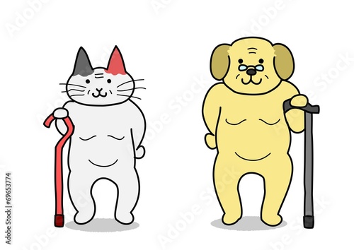 老猫と老犬