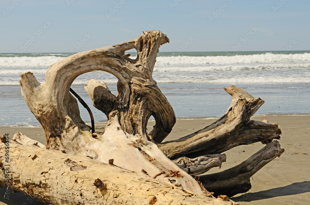 Interesting root wad driftwood on the beach near Bandon Oregon