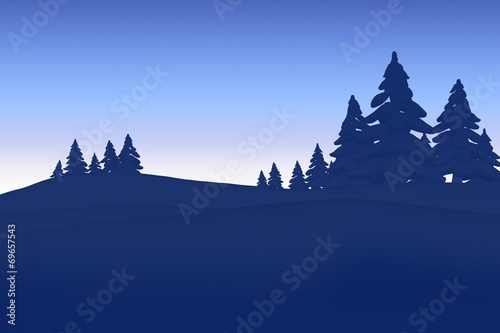 Fir tree forest silhouette