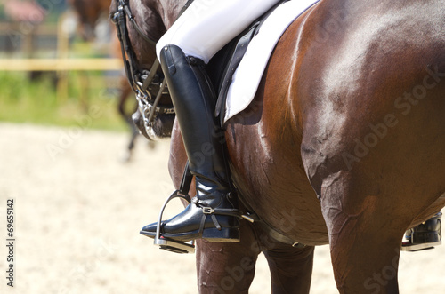 Dressage horse and a rider © Farmer