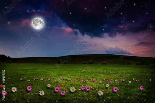 Flower field in the night.