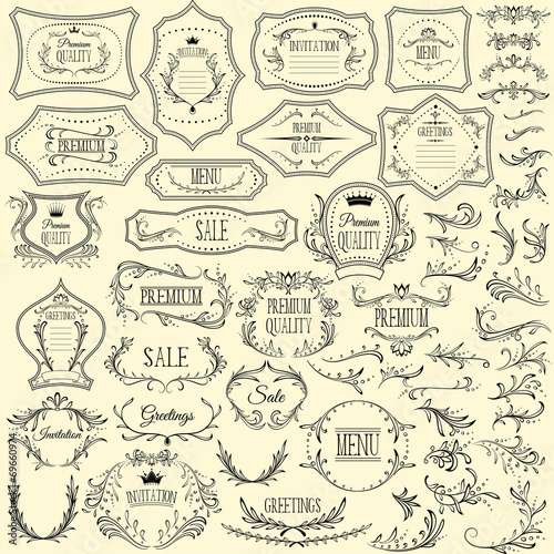 Collection of floral design elements and frames