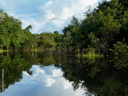 Reflections of Amazon river  Brazil