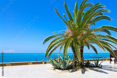 Fotografija Quay of the resort city of Sochi.
