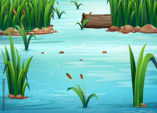 Pond