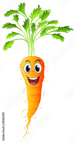 Carrot
