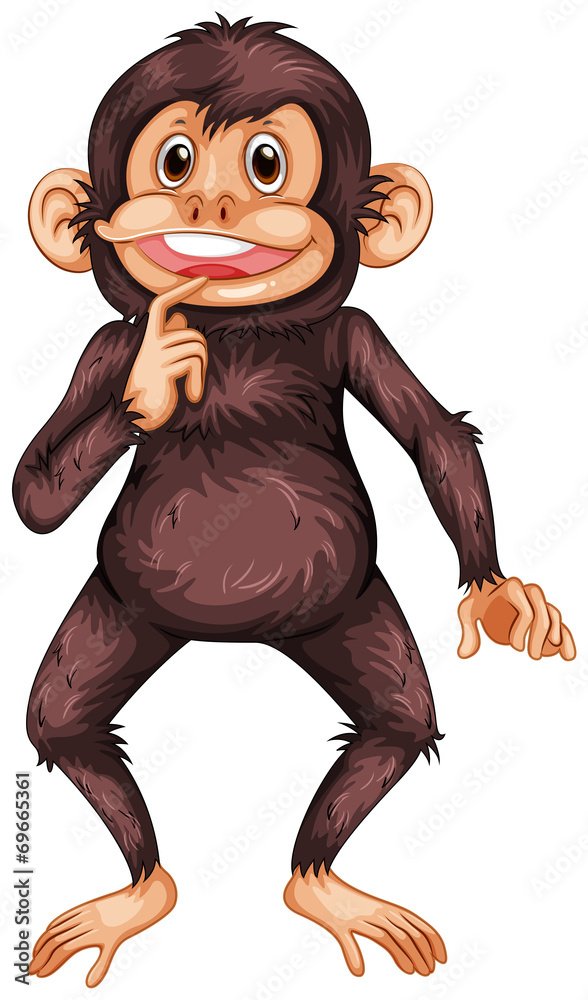 © GraphicsRF - Chimpanzee