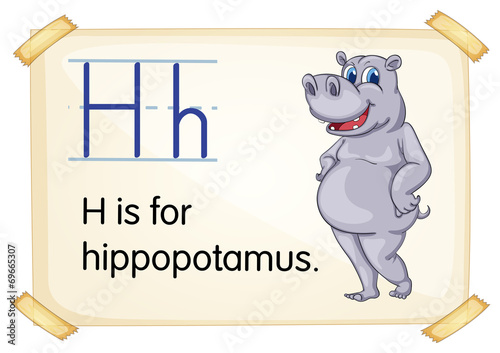 Letter H photo