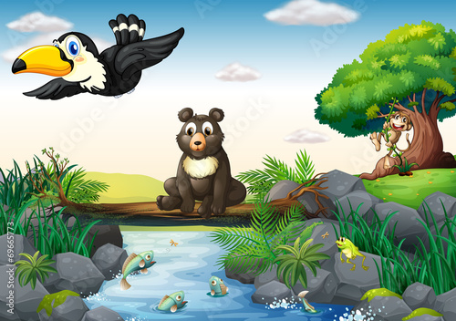 Animals and stream