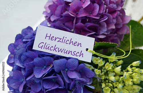 Herzlichen Glückwunsch - Happy Birthday