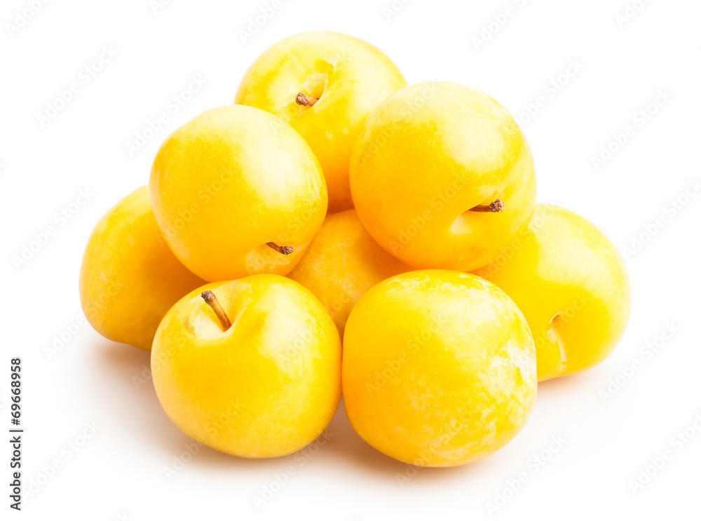 yellow plum yellow plum