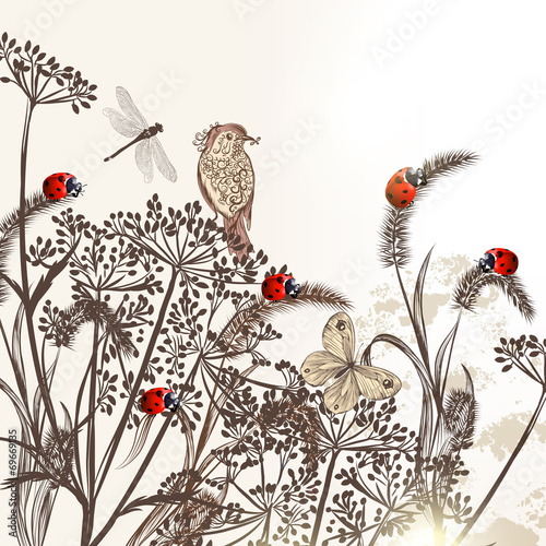 Fashion floral background with field plants