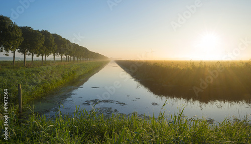 Trees along a canal at sunrise in summer