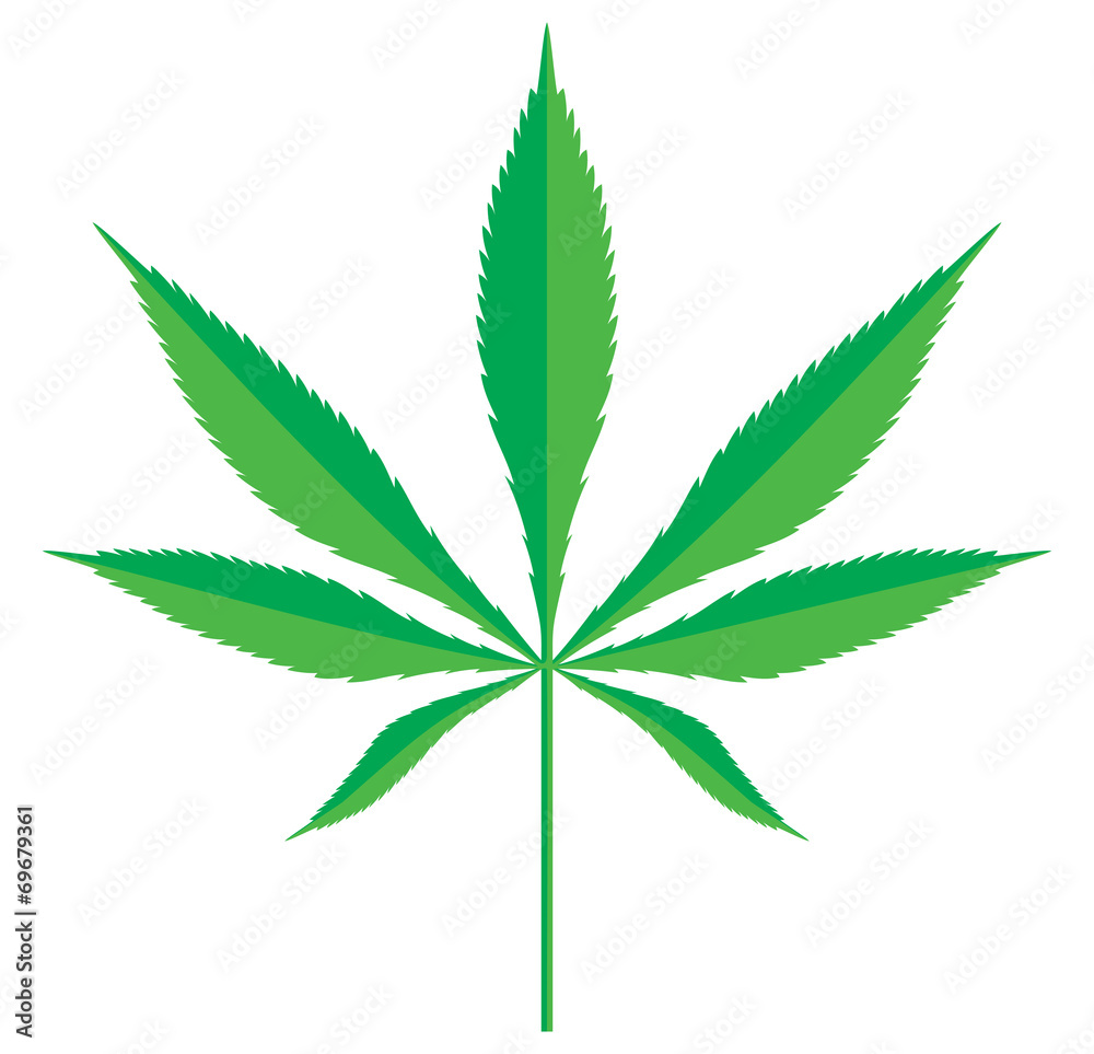 Cannabis leaf Cannabis leaf
