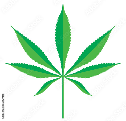 Cannabis leaf