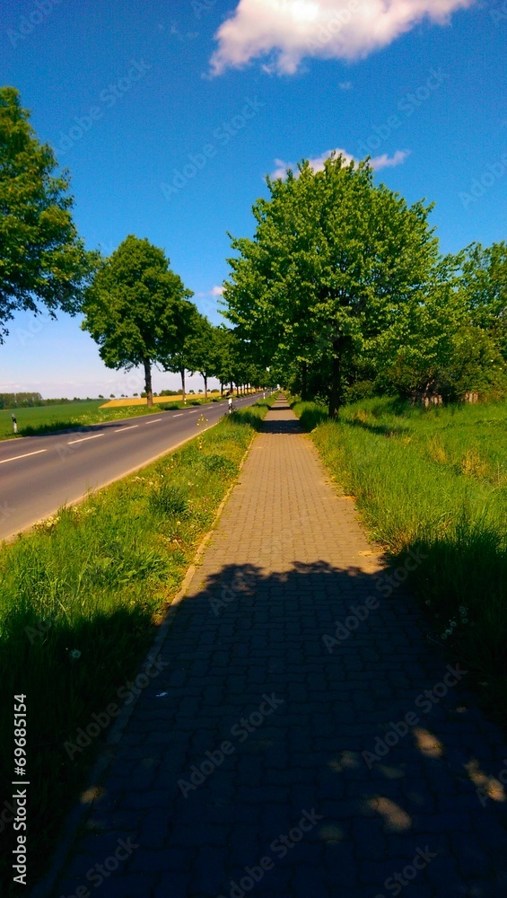 Obraz premium Landstraße