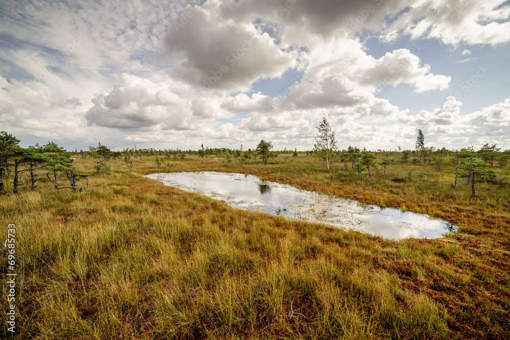 swamp view with lakes and footpath swamp view with lakes and footpath