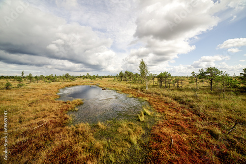 swamp view with lakes and footpath