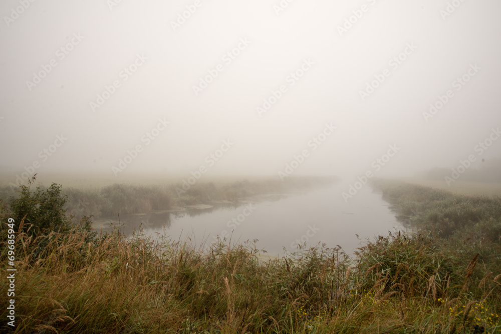 swamp view with lakes and footpath