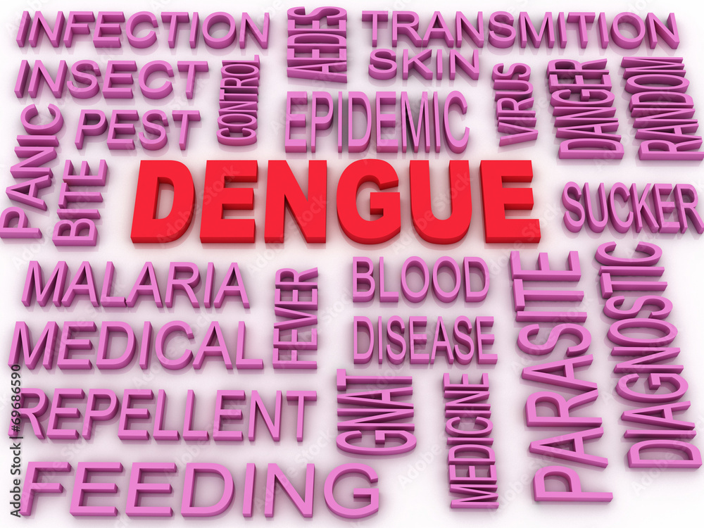 3d image Dengue concept word cloud background 3d image Dengue concept word cloud background