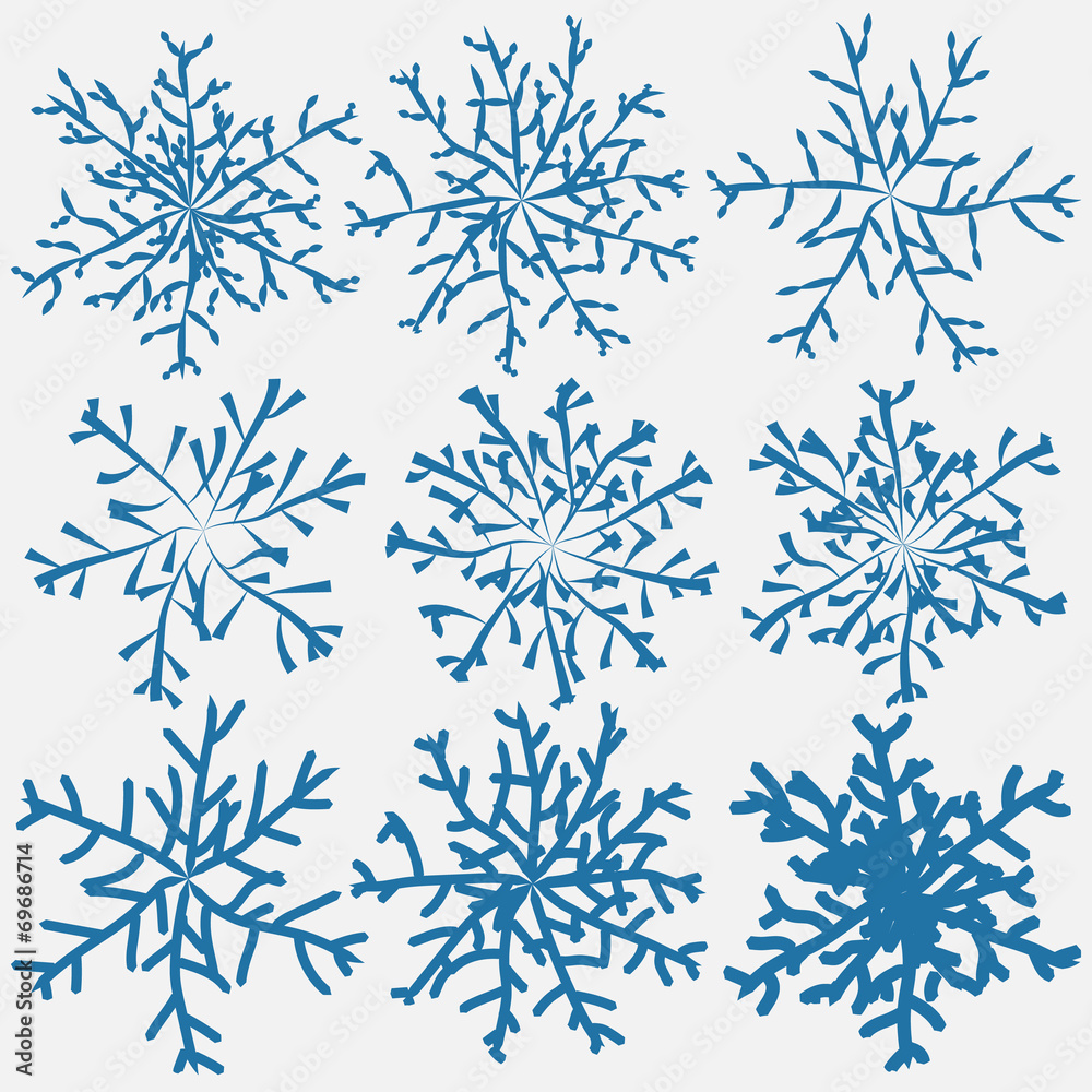Fototapeta premium snowflake brush