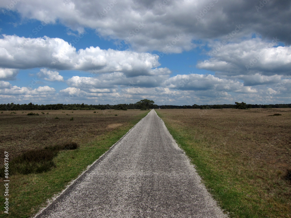 Road to nowhere in Hoge Veluwe