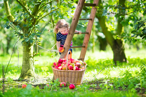 Little girl in an apple garden