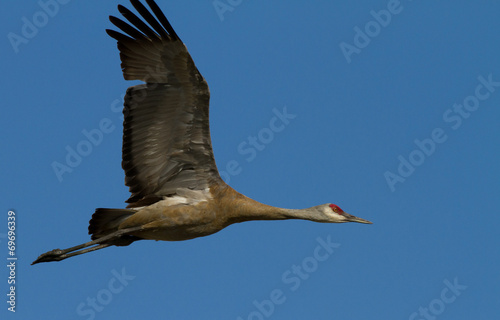 flying crane